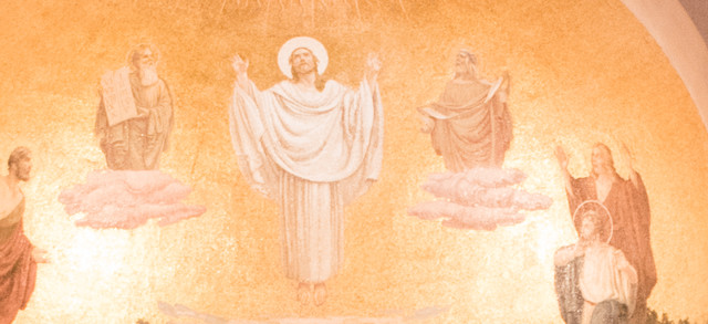 Jacek Pióro #323030