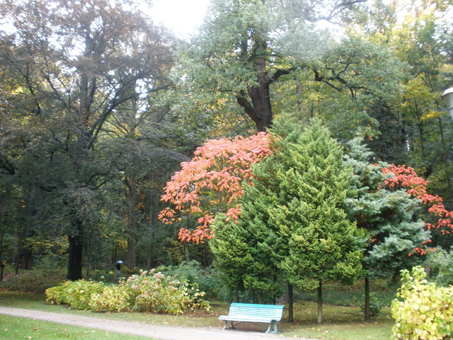 OLYMPUS DIGITAL CAMERA alutka #122989