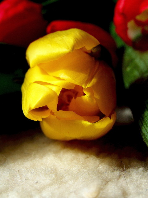 Edyta Posłuszna #136165