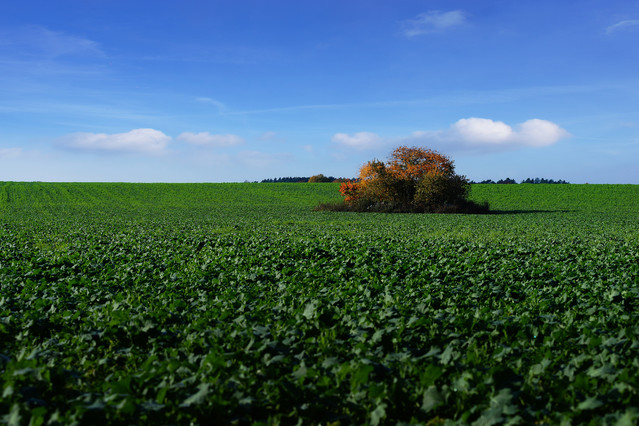 Sławek Rezerwa 