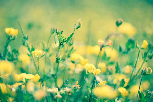 AnimalSnajper #318144