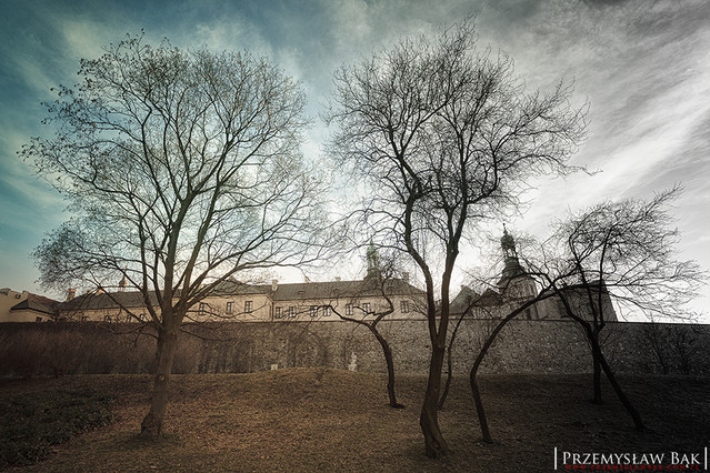 Przemek Bąk #188375