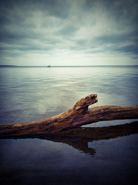 Lough Neagh - N.Ireland atenytom #335468