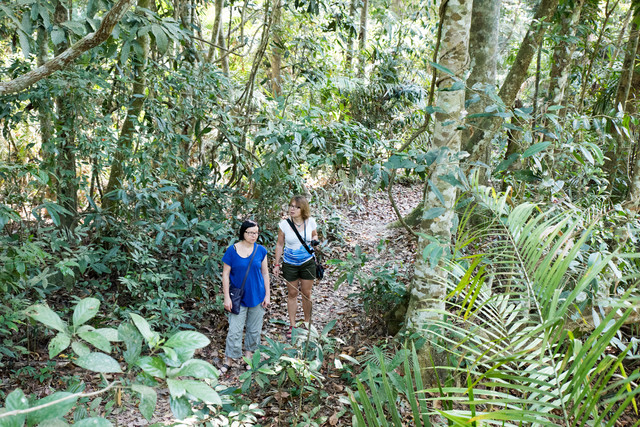 Jacek Pióro #304614