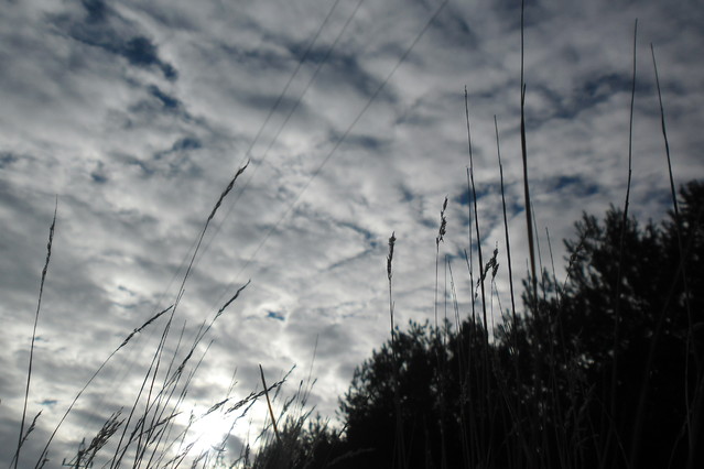 Anna Zalewska #178412