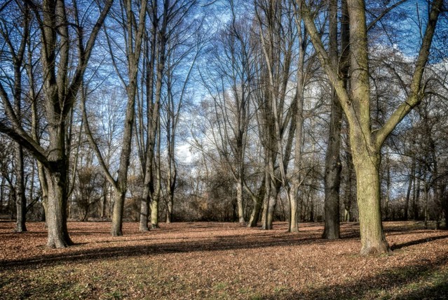 Tomasz Naglik #288774