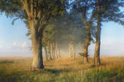 Sławek Rezerwa 