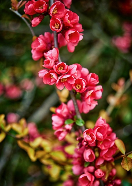 Tomasz Naglik #348881