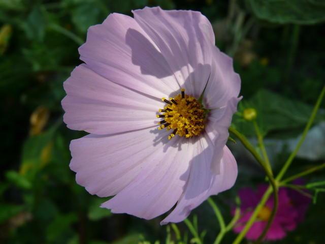 Andrzej Bachorski #124882