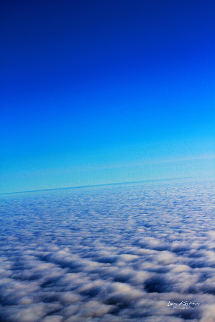 lkozphotography #159957