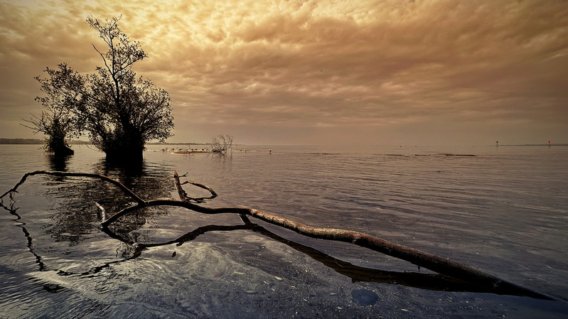 atenytom | Lough Neagh -  autumn '23 -Antrim - N.Ireland