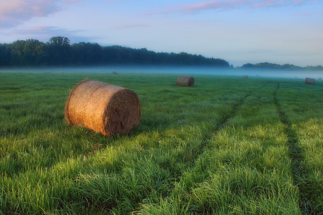 Sławek Rezerwa 