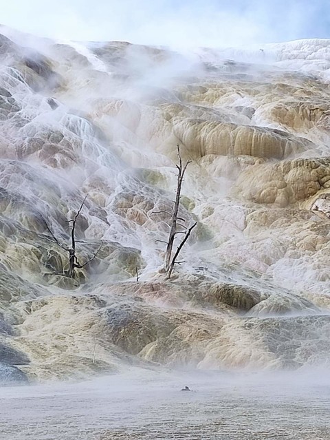 Yellowstone Stanisław Hawrus #346313