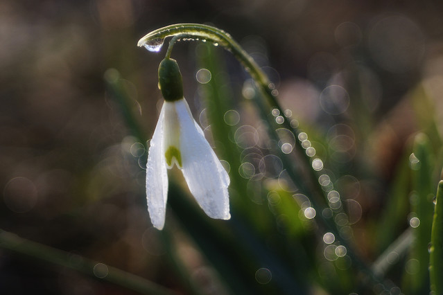 Sławek Rezerwa #348806