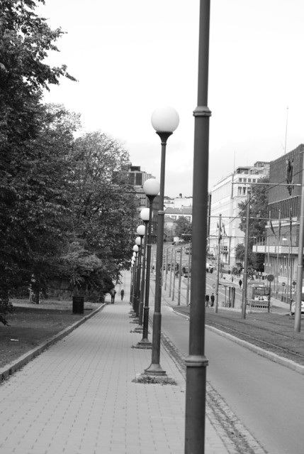 Agnieszka Nawrocka #288024