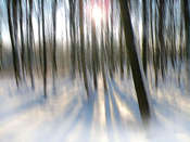 Talambur OLYMPUS DIGITAL CAMERA