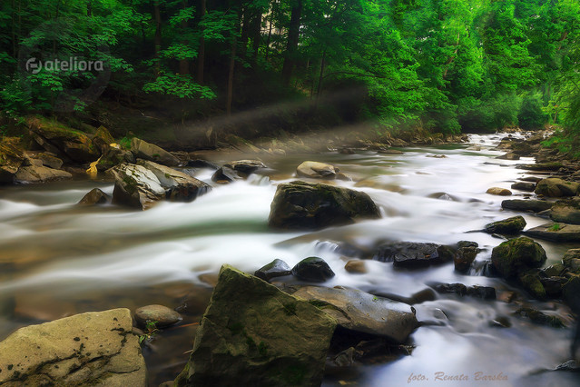 Renata Barska #325243