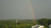 Picasa 