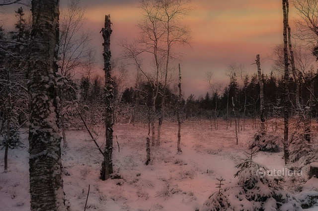 Zbigniew Kapusta #334922