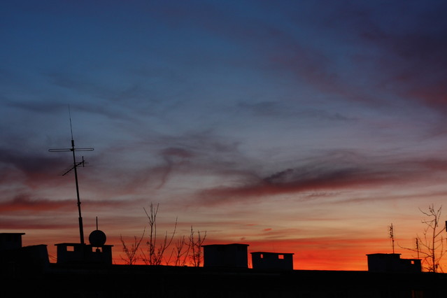 Marta Lipowska #118254