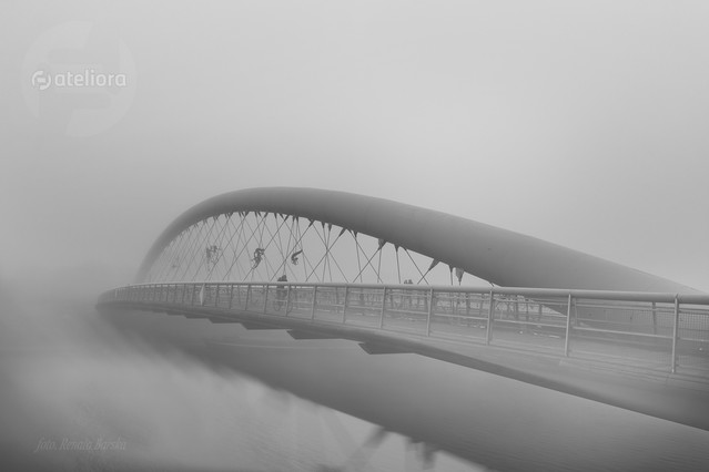 RenataBarska #331062