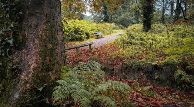 Autumn is coming atenytom #349508