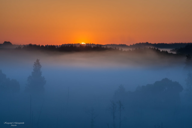 K.Mierzejewski #316727