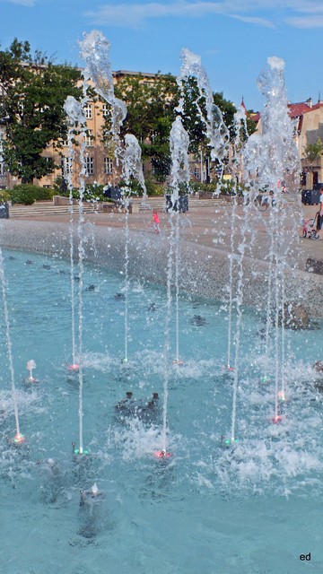 W Łodzi Picasa #295571