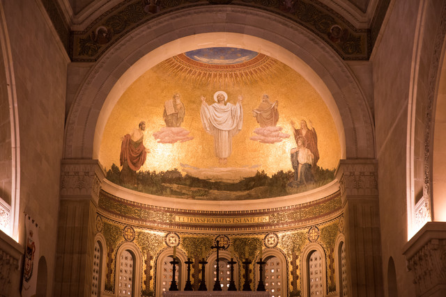 Jacek Pióro #323029