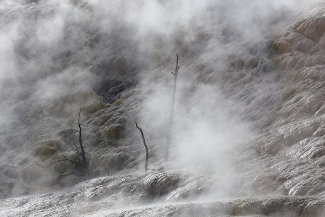 za mgłą Stanisław Hawrus #348546