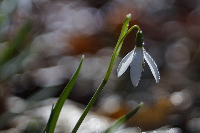 Sławek Rezerwa #348804