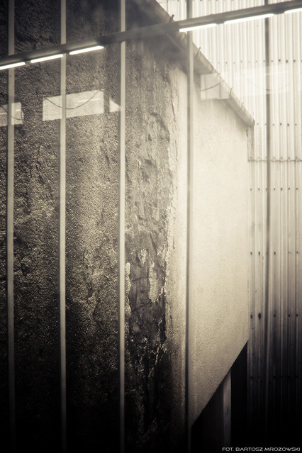 Bartosz Mrozowski #124545