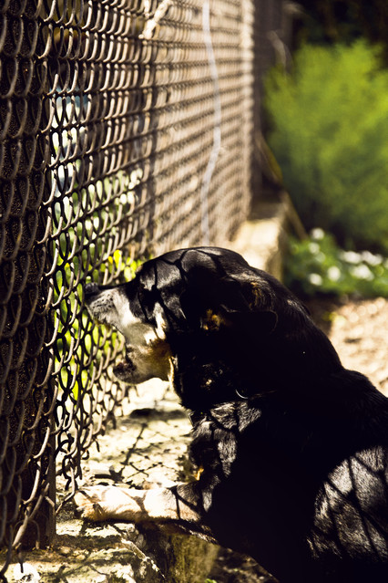 Katarzyna Jasiewicz #144902