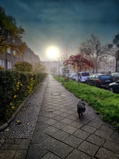 Tomasz Naglik #348467