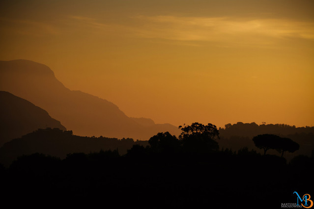 Bartosz Mrozowski #172672