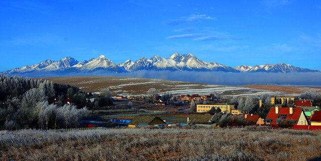 Janusz Mojżesz #269967