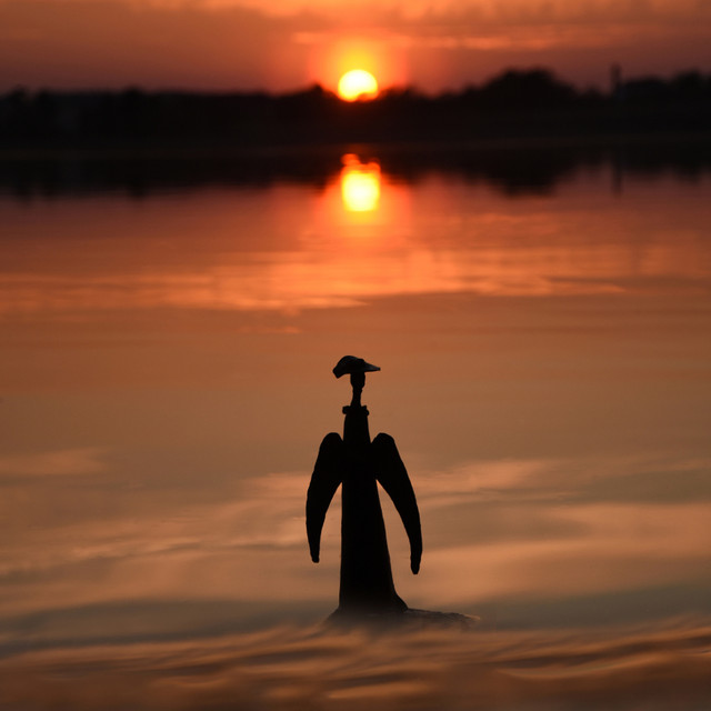 obserwator Stanisław Hawrus #293787