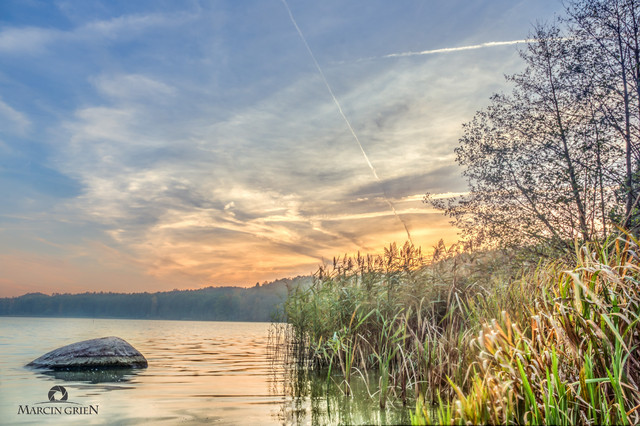 gringoboss18 #264823