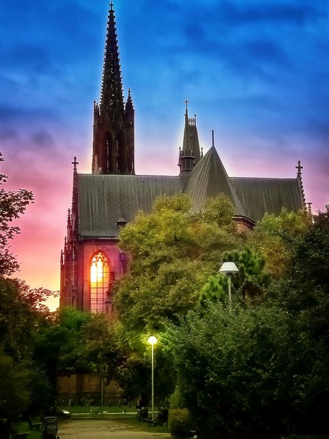 Tomasz Naglik #348210