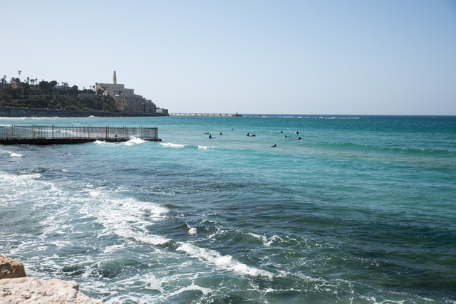 Jacek Pióro #323095