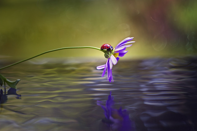 macrofun Nad falą :)