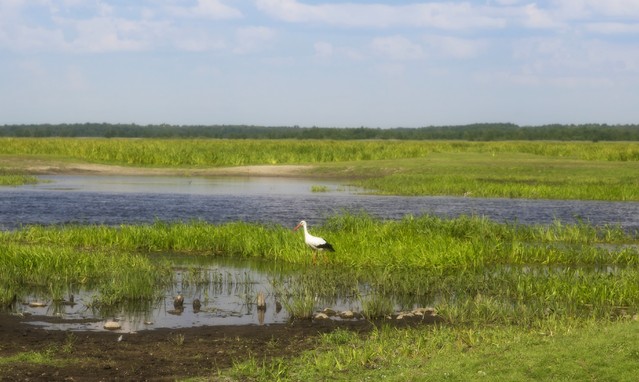 Krzysztof Bartkowski #254532