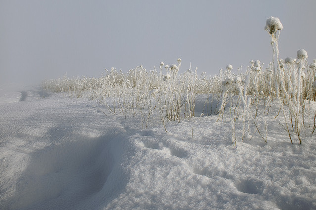 Sławek Rezerwa 