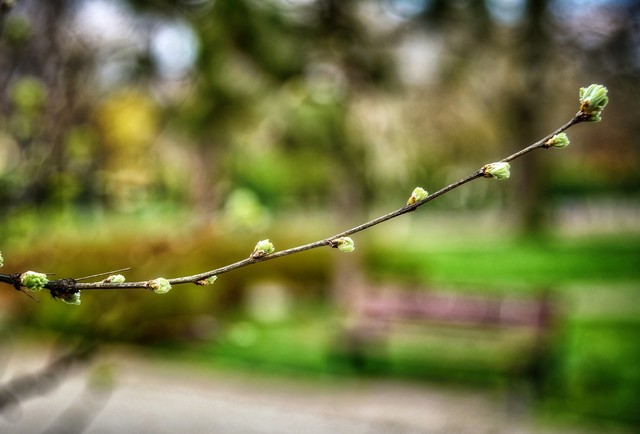 Tomasz Naglik #348882