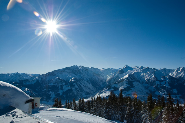 siekierapol8 #156864