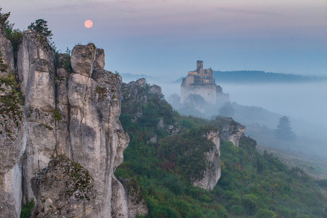 Marcin Rydzewski A tale of dreams