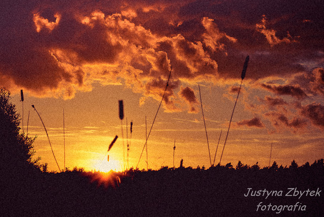 SONY DSC SONY DSC JustynaZ #169938