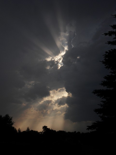 Marta Papuga SAMSUNG DIGITAL CAMERA