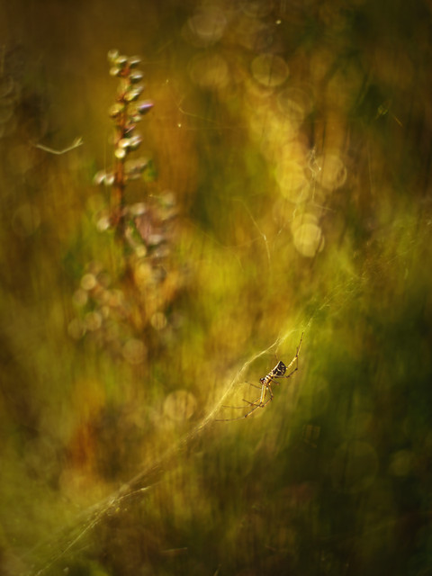 macrofun Na krawędzi... cz.II