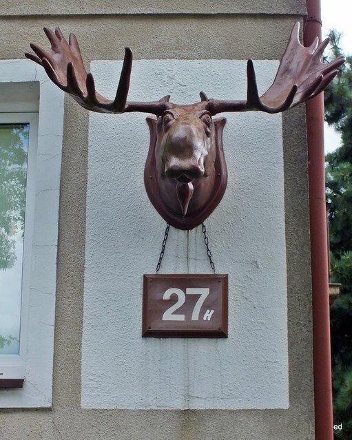 Łódź łoś Picasa #295430